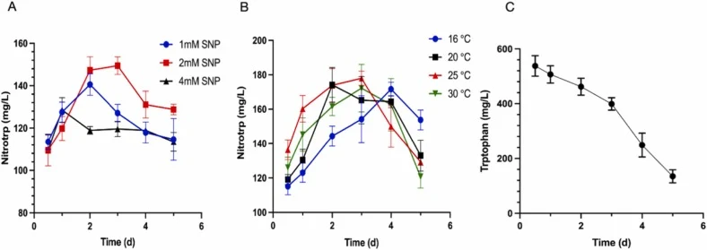 通过改变SNPs和温度提高硝基色氨酸产量。(A) 发现在不同温度(16°C、20°C、25°C和30°C)下,细胞外亚硝酸钠(SNP)的存在会影响一氧化氮(NO)产生过程中亚硝酸硝基色氨酸(Nitrotrp)的水平。(B)