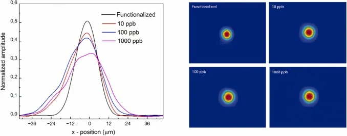 Left: Beam width profiles for different concentrations of Spike-RBD recombinant peptide, measured with a beam profiler at the functionalized wall. The profiles show increased beam dispersion with higher protein concentrations, leading to a reduction in the coupling coefficient. Right: 2D intensity d