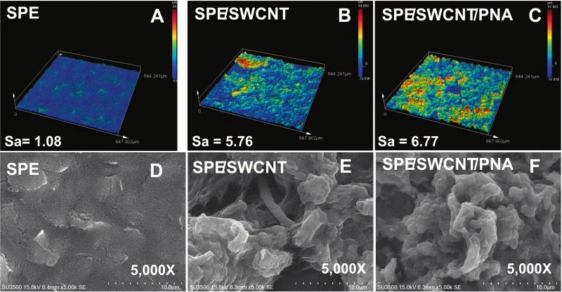 Surface characterization of the PNA-based biosensor (A-C) is from a laser scanning confocal microscope (LSCM), and (DF) is from a scanning electron microscope (SEM).