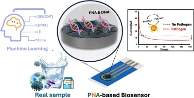 PNA/SWCNT hybrid electrochemical platform optimized by machi