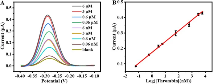 (A) Electrochemical responses of the cell-free electrochemical biosensor to thrombin at different concentrations. Measurements were performed via SWV with parameters: potential range of −0.1 to −0.4 V (vs. Ag/AgCl), potential increment of 0.001 V, amplitude of 10 mV, and frequency of 50 Hz; all test