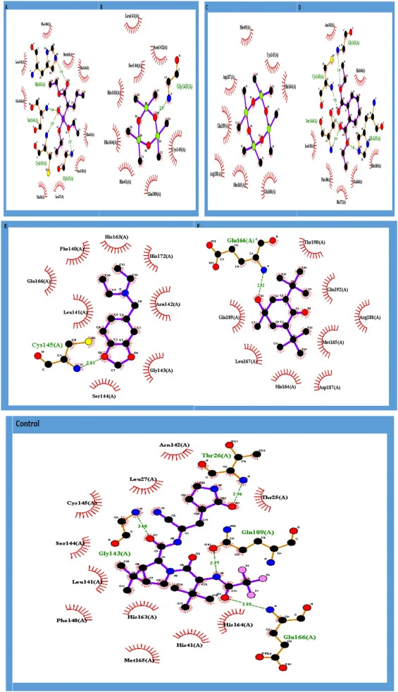 (a) CID_98244 within the SARS-CoV-2 Mpro active site showing hydrogen bonds with Cys145, Ser144, His163, and Gly143 and surrounding hydrophobic contacts. (b) CID_10914 with the Mpro catalytic pocket showing a hydrogen bond with Gly143 and stabilizing nonpolar contacts with neighboring residues. (c)