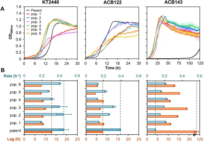 Growth characteristics of evolved populations and corresponding parent strains. (A) Growth profiles for each of the six evolved populations (abbreviated pop.), taken from the end of ALE and TALE experiments, were compared to the unevolved parent strain for KT2440 (left), ACB122 (middle), and ACB143