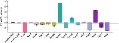 Transcriptional readthrough across tested terminators. Y-axis represents RTI values ± SD (log scale, n = 3), calculated as the ratio of Down (eGFP) to Up (mCherry) transcript levels normalized to the reference gene (β-tubulin) using the ΔΔCt method. Dashed lines at RTI = 0.1 and RTI = 1 delineate ef