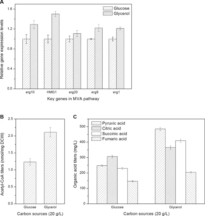 Relative gene expression levels and metabolite concentrations. (A) Relative gene expression levels in the MVA pathway. The control group was grown on glucose, and the experimental group was grown on glycerol. The relative gene expression levels of the control group were 1. (B) Comparison of acetyl-C