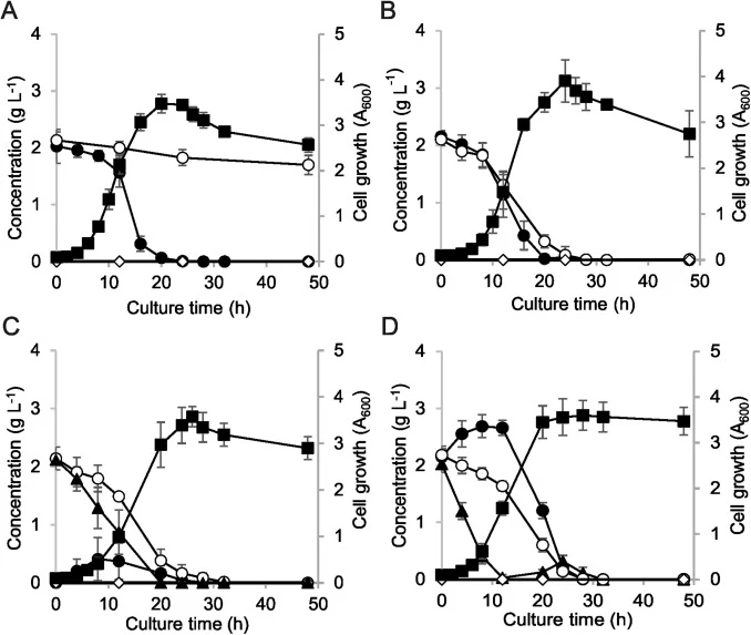 Co-utilization of D-xylose with D-glucose or D-cellobiose by P. putida EM42 recombinants in minimal medium. Experiments were carried out in shaken flasks (30 °C, 170 rpm). (A) P. putida EM42 Δgcd pSEVA2213 with glucose and xylose (2 g L−1 each), (B) P. putida EM42 Δgcd pSEVA2213_xylABE with glucose
