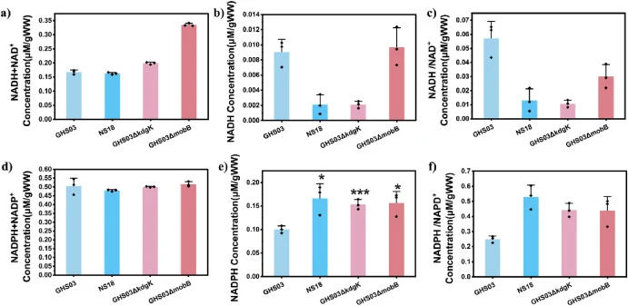In vivo cofactor concentration of GHS03, GHS03ΔkdgK, GHS03ΔmobB, GHS03ΔkdgKΔmobB, and NS18. a) In vivo NADH + NAD + concentration. b) In vivo NADH concentration. c) In vivo NADH/NAD+ ratio. d) In vivo NADPH + NADP + concentration. e) In vivo NADPH concentration. f) In vivo NADPH/NADP+ ratio. The exp