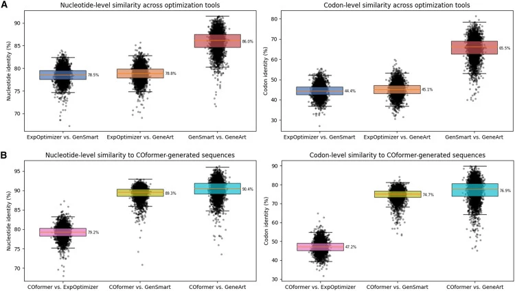 Pairwise sequence similarity among codon-optimized coding sequences (A) Pairwise nucleotide-level and codon-level identity among coding sequences generated by ExpOptimizer, GenSmart, and GeneArt for identical protein inputs. Nucleotide-level identity was calculated from aligned coding sequences, and