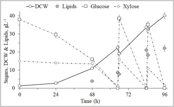 Scale-up of the process at 10 L bioreactor, in fed-batch mode, with Lipomyces tetrasporus on WSH 40 inoculated in SP, with inoculum size of OD 5.