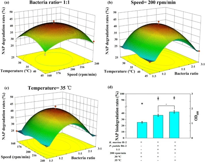Optimization of naphthalene biodegradation conditions in a co-culture system. (a) temperature vs. speed (with a constant bacterial ratio of 1:1), (b) temperature vs. bacterial ratio (with a constant speed of 200 rpm/min), (c) speed vs. bacterial ratio (with a constant temperature of 35 °C), (d) hist