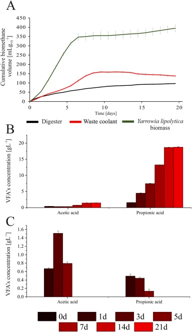 Anaerobic digestion performance and volatile fatty acid profiles during anaerobic fermentation. (A) Cumulative biomethane production over time. VFAs concentration for waste coolant (B) and Yarrowia lipolytica yeast biomass (C) as anaerobic fermentation substrate showing acetic acid and propionic aci