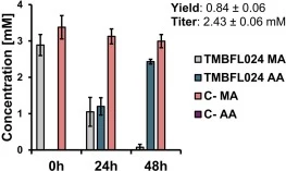High cell-density biotransformation of muconic acid (MA) into adipic acid (AA) by TMBFL024 and an empty vector control strain (C-) in M9 medium. Values represent an average of three biological replicates. Error bars represent the standard deviation.