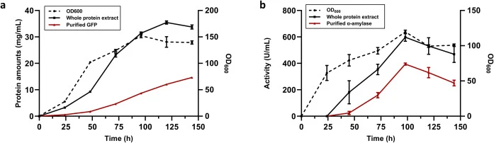 1-L minibioreactor validation of ELK16-mediated protein production under fed-batch conditions. (a) Time-course profiles of OD600, total protein concentration in the whole-cell extract, and recovered GFP concentration during fermentation. (b) Time-course profiles of OD600, total amylase activity in t