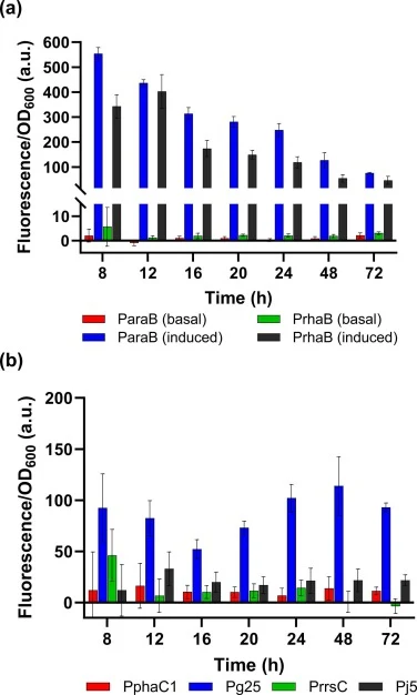 Activity of six different promoters in P. putida. For promoter activity measurement, cells (100 μL) were transferred to a microplate for fluorescence detection. (a) Cells carrying plasmids were induced with 0.4 %(w/v) arabinose for the ParaB promoter and with 10 mM rhamnose for the PrhaB promoter. B