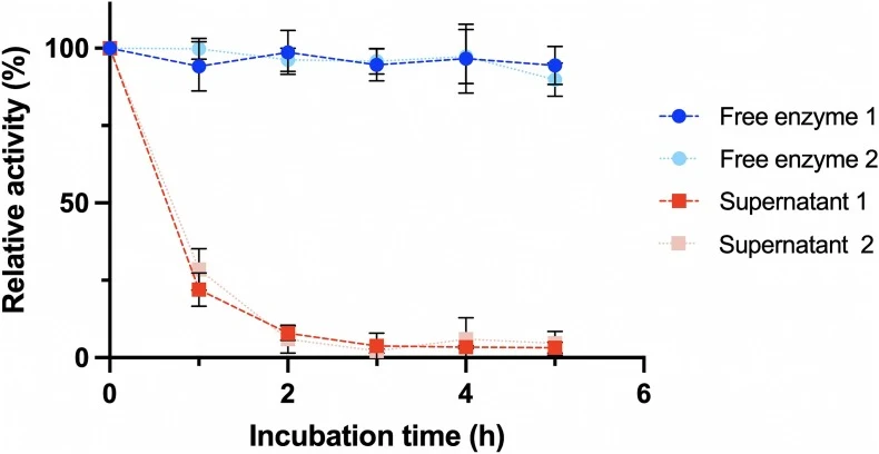 Time course of Bacillus subtilis chitosanase (BSchito) immobilization on glyoxyl-activated agarose. Immobilization was monitored by measuring the residual enzymatic activity in the reaction supernatant over time, compared with free-enzyme controls incubated under the same conditions in the absence o