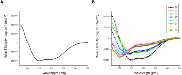 纯化AnCUT3的CD光谱图。(A)25°C、pH 5.0条件下AnCUT3的远紫外光谱。(B)不同温度下AnCUT3的远紫外光谱。