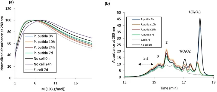 HPSEC analysis of Indulin in culture supernatants: (a) Apparent MM distribution of the acetylated APPL (polymer peak normalized with respect to the maximum absorbance and the sample acetylated amount; mixed C type PL-gel column) (b) HPSEC profiles of the acid-soluble CH2Cl2/EtOAc extracts (100 Å PL-