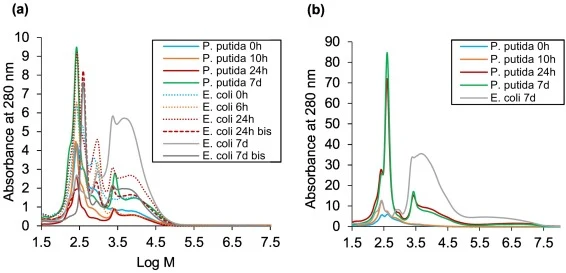 MM distribution of the lignin dioxan/water extract of the bacterial pellets recovered from (a) Indulin and (b) DHP.
