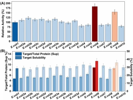 Quantitative evaluation of combinatorial strategies for the soluble expression and catalytic activity of CeLTTA. (A) Comparison of relative enzyme activities across different expression systems. (B) Analysis of protein solubility and purity. The light blue bars represent the proportion of the target