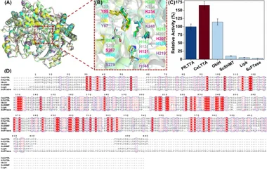 L-苏氨酸转醛酶与分子伴侣辅助级联工程
