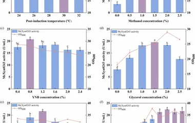 嗜热真菌木聚糖酶在毕赤酵母中的发酵优化及应用