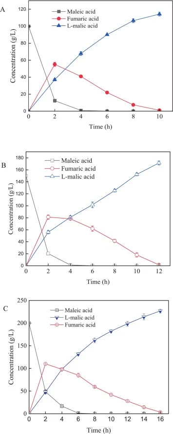 One-pot biotransformation of maleic acid to L-MA via cascade biocatalysis with the resting cells of E. coli (SvMI mutant-BtFum). A:100 g/L. B: 150 g/L. C: 200 g/L.