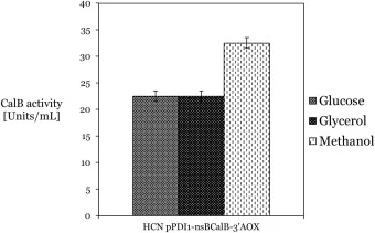 High Copy Number clone (HCN) pPDI1-nsBCalB-3′AOX in shake flask expression with different carbon sources (Glucose, Glycerol and Methanol). Data are the means ± SD of three replicates. Comparatively the expression in methanol is more than glucose or glycerol. The possible reason for significant expre