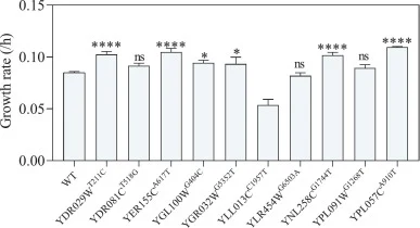 Consequences of each identified mutation on d-lactic acid tolerance. Growth rate of Statistical analysis was performed using a two-tailed Student t-test. ns represents no significant difference (P-value > 0.05), * represents a significant difference (0.01 < P-value < 0.05), **** represents a extreme