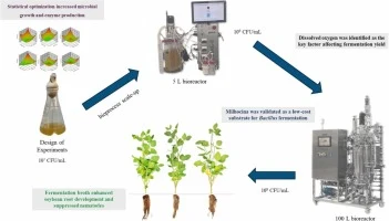 Fermentation optimization and scale-up of Bacillus amyloliqu