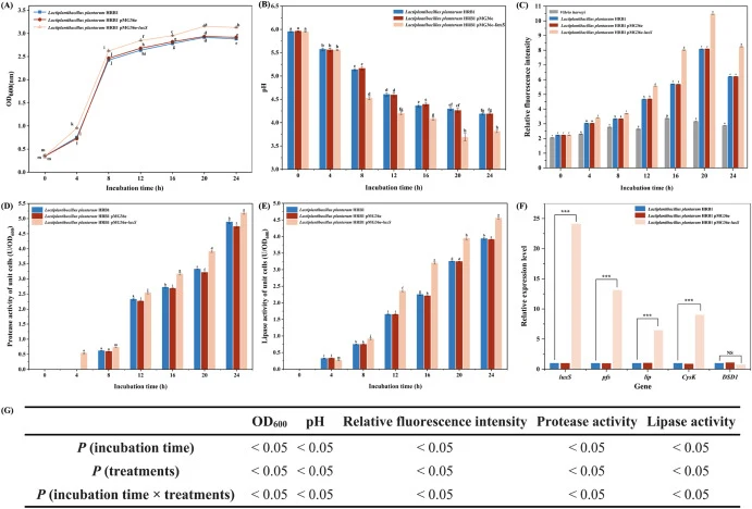 The growth curve (A), pH (B), AI-2 producing ability (C), protease ability (D), lipase ability (E), and gene expression quantity (F) of different lactic acid bacteria strains. The main and interaction effects of different treatments and incubation time (G) on the OD600, pH, AI-2 activity, protease a