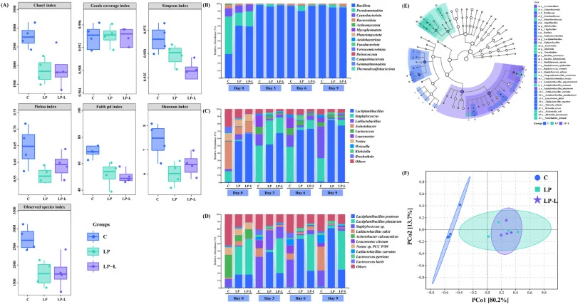 The bacterial diversity analysis of dry sausages inoculated with different lactic acid bacteria strains: α diversity analysis (A), bacterial taxonomic composition at phylum (B), genus (C), and species (D) levels, LEfSe analysis (E), and PCA analysis (F). Con: control, LP: Lactiplantibacillus plantar
