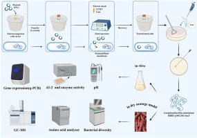 Effect of luxS gene overexpression in the quorum sensing sys