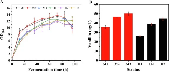 (A) Growth curve of the strains. (B) The production of vanillin. M1and H1 containing CYP199A2 gene, M2 and H2 containing hpaB/C gene, M3 and H3 containing sam5 gene. M1, M2 and M3 were engineered from CEN. PK2-1C, H1, H2 and H3 were engineered from INVSc1. Average ± standard deviations were calculat
