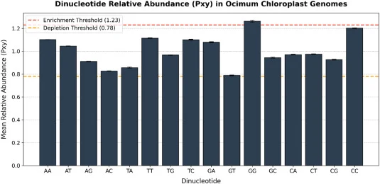 Dinucleotide relative abundance (Pxy) across five Ocimum chloroplast genomes. The bar graph displays the mean relative abundance of all 16 dinucleotide combinations calculated from the deduplicated protein-coding sequences of O. americanum, O. basilicum, O. gratissimum, O. kilimandscharicum, and O.