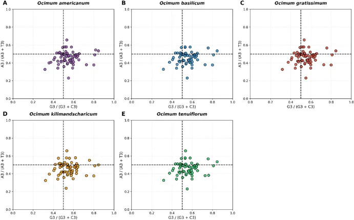 Parity Rule 2 (PR2) bias plots showing A3/(A3+T3) versus G3/(G3+C3) distributions in Ocimum chloroplast genes.