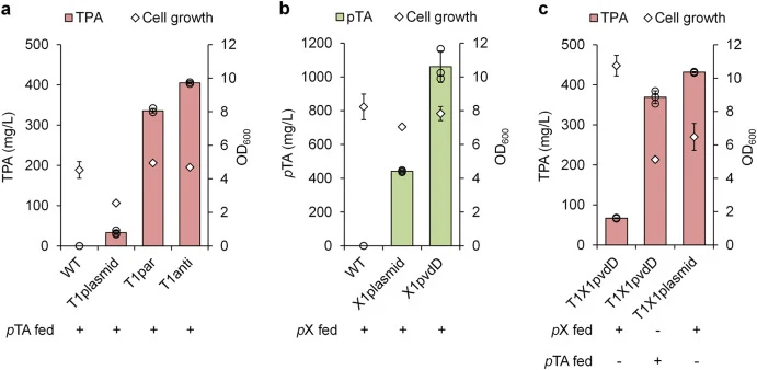 Construction of the pX to TPA biotransformation pathway in P. putida KT2440. (a) Production of TPA from pTA in single-phase flask cultures. The residual levels of pTA are shown in Fig. S1a. (b) Production of pTA from pX in two-phase partitioning flask cultures. (c) Production of TPA from pX or pTA i