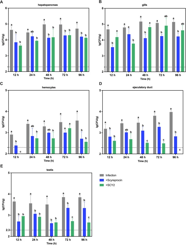Tissue-specific bacterial clearance in male crabs following peptide treatment. (A–E) Quantification of bacterial loads in hepatopancreas, gills, hemocytes, testis, and ejaculatory duct (n = 3). The dashed line indicates the detection limit. One-way ANOVA followed by LSD post-hoc test was used; diffe