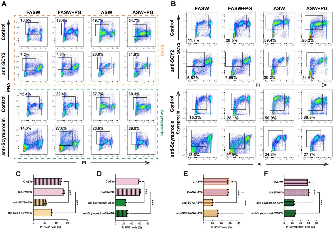 Flow cytometry of the blockade effect of SCY2 and Scyreprocin in female crabs A-B: Representative flow cytometry diagrams showing the proportions of live sperm cells with AR (PNA+, PI−), and live sperm cells stained with SCY2/Scyreprocin (SCY2+/Scyreprocin+, PI−); CF. Quantitative analysis of the pe