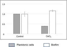 Biofilm formation. Dark grey bars represent the planktonic cells as evaluated by the measure of the A600 nm. Light grey bars represent the biofilm as estimated by the Crystal violet staining method and reading of the A595 nm. In both cases, values are normalized by the values of the controls. Error