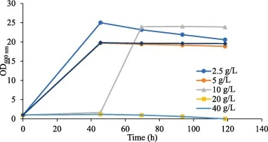 Y. lipolytica在不同初始乙酸浓度下的生长。