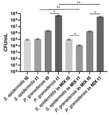 Mean values of CFU mL−1 (±standard deviation) of S. epidermidis and P. granadensis in mono-cultures and in mixed-cultures (MIX) at t0 (0 h) and t1 (48 h) of incubation. * Statistical differences between time points of incubation (t0 vs t1) within the same experimental condition (mono-cultures or mix