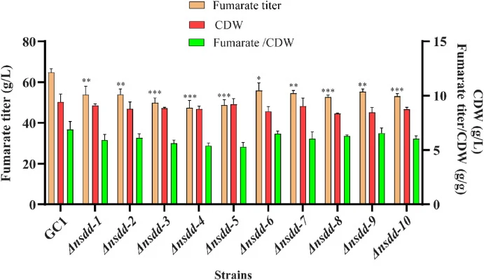 Fumarate production and cell growth by GC1 strain and its different Δnsdd mutants, Data are given as mean ± SD, n = 3, ∗P < 0.05, ∗∗P < 0.01, ∗∗∗P < 0.001).