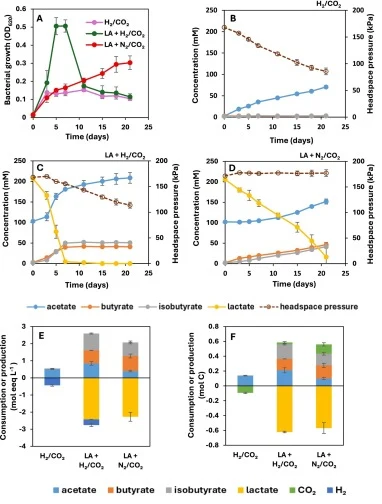 Growth of Clostridium luticellarii on H2/CO2 only, lactate (200 mM) and acetate (100 mM) with N2/CO2 (LA + N2/CO2) and with H2/CO2 headspaces (LA + H2/CO2) (A); Production of organic acids on H2 + CO2 (B); Consumption and production of organic acids on lactate under H2/CO2 headspace (C); Consumption