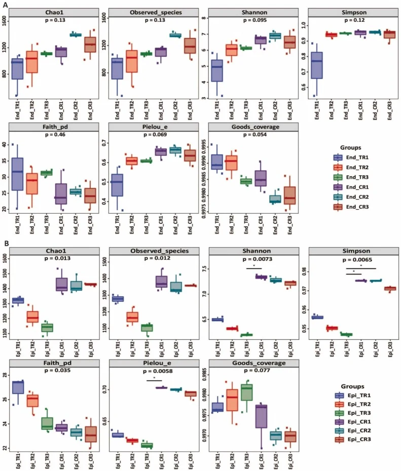 Effect of B. subtilis L1−21 application on Chao 1, observed_species, shannon, simpson, faith_pd, pielou_e and good coverage diversity indices for endophytic (A) and epiphytic (B) bacteria communities, indicating differences between treatments and controls in both endophytic and epiphytic communities