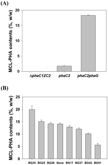 (A) MCL-PHA productivity of recombinant P. putida ΔphaC1ZC2 overexpressing phaC2 alone and phaC2 and phaG together after 72 h of cultivation. (B) MCL-PHA productivity of recombinant P. putida ΔphaC1ZC2 expressing phaC2, phaG and acoA under various synthetic promoters (BG35, BG25, BG28, BG17, BG37, B