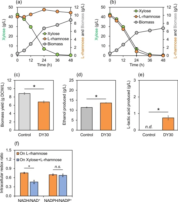 Co-utilization of l-rhamnose and xylose by the control strain (YE9, a) and engineered strain (DY30, b). Strains were cultured in YP medium containing 10 g/L l-rhamnose and 40 g/L xylose under oxygen-limited conditions (130 rpm) with an initial biomass of 0.5 g DCW/L. Biomass formation (c) and metabo