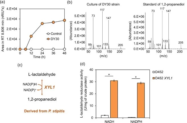 1,2-Propanediol formation from l-rhamnose metabolism via xylose reductase. (a) Detection of an additional peak during co-fermentation of l-rhamnose and xylose by DY30 compared with the control strain (YE9) by HPLC analysis. (b) GC/MS spectra of the DY30-derived compound and an authentic 1,2-propaned