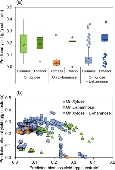 Feasible product-yield space predicted by anaerobic elementary flux mode (EFM) analysis under different substrate conditions. (a) Box plots showing the distributions of feasible biomass and ethanol yields from xylose, l-rhamnose, and mixed xylose/l-rhamnose utilization. (b) Scatter plot showing all