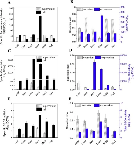 Effects of signal peptides on secretory expression of heterologous proteins. (A) Specific fluorescence intensity of yEGFP of cells and supernatants at 24 h. (B) Secretion ratio and total production of yEGFP at 24 h. (C) Specific Gal activity of cells and supernatants at 72 h. (D) Secretion ratio and