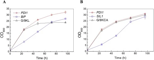 Effects of co-expressing folding factors on cell growth of recombinant strain G/9KL (A) and G/9KCA (B). Co-expression of different folding factors (PDI1, BiP or SIL1) in the control strains G/9KL or G/9KCA (triangle) resulted in the increasing of cell growth rate (star), or decreasing of cell growth